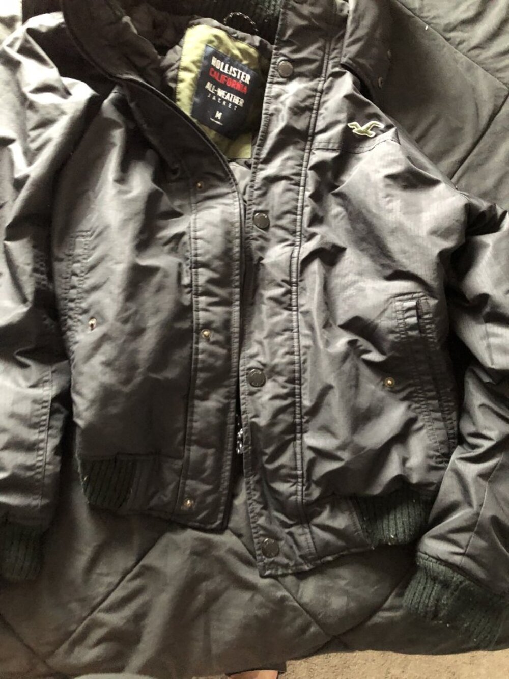 Hollister Parka